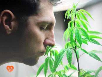 Детоксикация от марихуаны в Нягани
